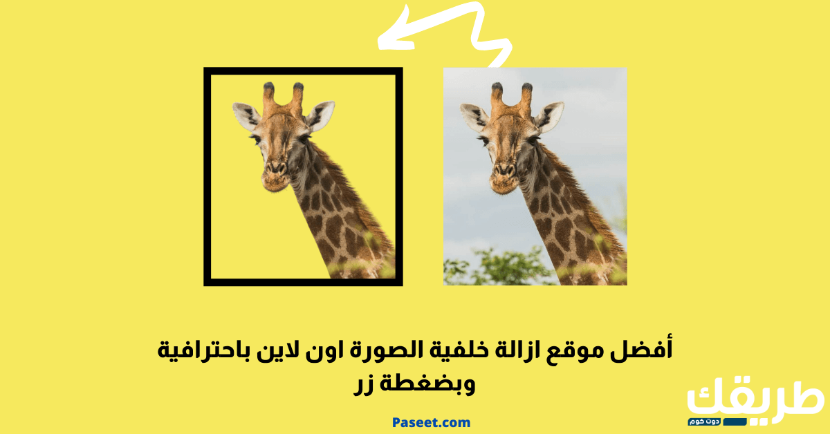 حذف خلفية الصورة اون لاين بدون برامج (شرح بالصور) 1 حذف خلفية الصورة اون لاين